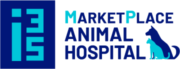 animal hospital visit